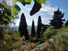 183 HYERES ET SES PALMIERS D02_000005